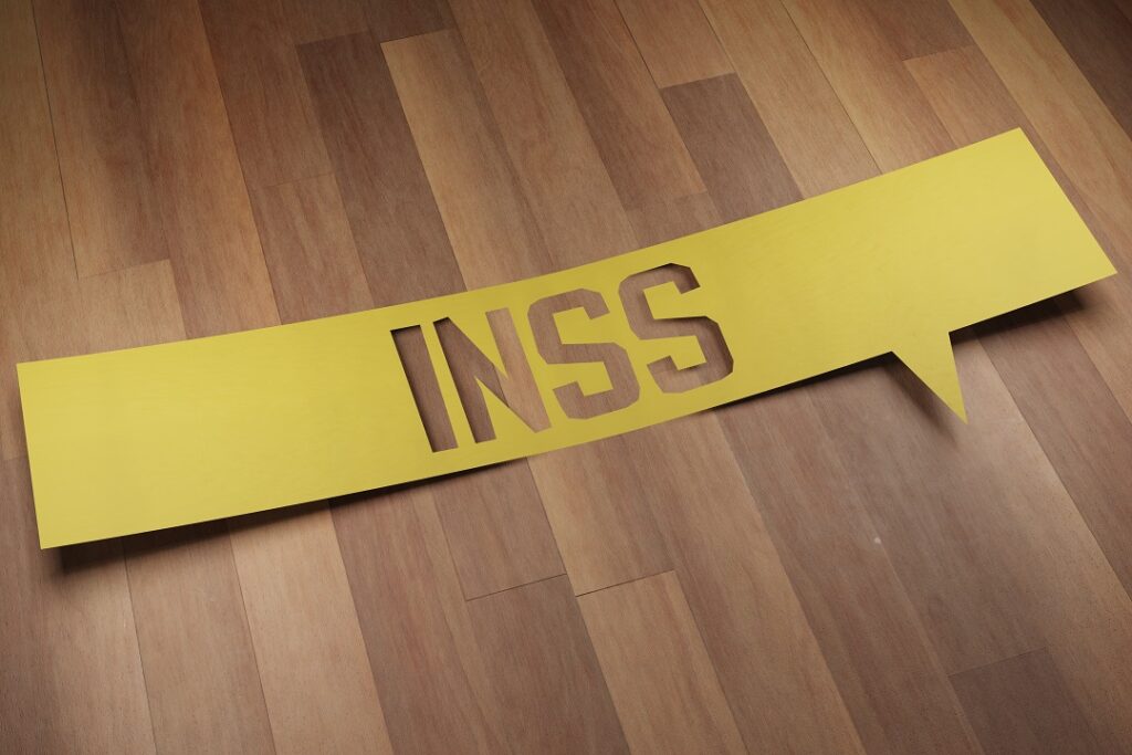 O que é o INSS