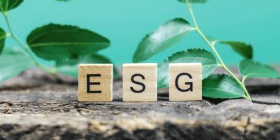 Imagem de uma superfície de pedra com tês cubos de madeira, em cada um deles se lê uma letra da sigla ESG e ao fundo há galhos com folhas verdes representando o ESG Contábil.